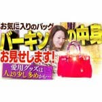 お気に入りのバッグ バーキンの中身をお見せします！愛用グッズは人より少し多めかも…