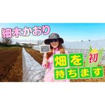 【VLOG】私の畑でトウモロコシ栽培始めます！