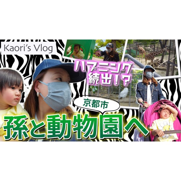 【VLOG】細木かおりの、孫と京都動物園ぶらり散歩