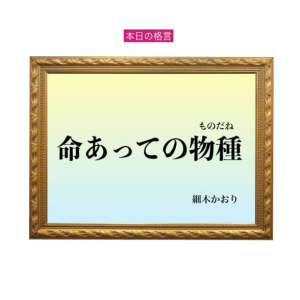 「命あっての物種」六星占術 細木かおりの幸運を繋ぐ人生格言