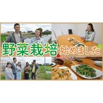 【ご報告】細木かおり、野菜の栽培を始めます！