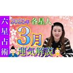 【3月の運勢】各星人・各霊合星人の3月の運勢・ワンポイントアドバイスをお届けします！！